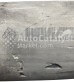 2100007166Y0223 (DPF monolith) - Photo № 1 | AutoCatalyst Market