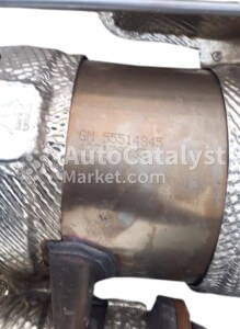 55514845 - Photo № 2 | AutoCatalyst Market