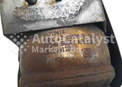 31319414 - Photo № 3 | AutoCatalyst Market