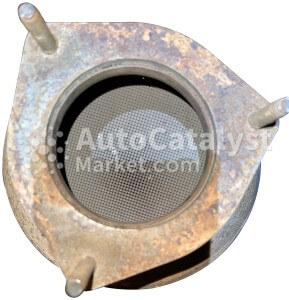 2196ACP - Photo № 3 | AutoCatalyst Market