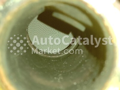 7504963 - Photo № 3 | AutoCatalyst Market