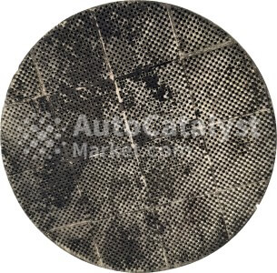 2300012115T0072 / 0072 Catalytic Converter Scrap Price — Photo № 4 | AutoCatalyst Market
