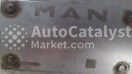 31815087100 - Фото № 1 | AutoCatalyst Market