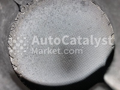 F8F1 - Photo № 4 | AutoCatalyst Market