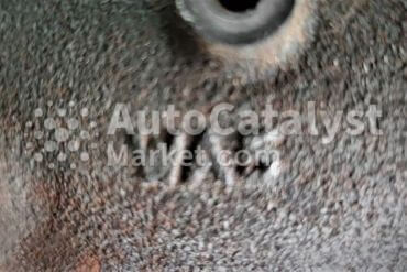 WA5 - Foto № 3 | AutoCatalyst Market