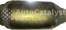 776AA - Photo № 1 | AutoCatalyst Market