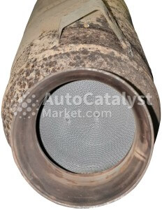 96411321308 - الصورة № 4 | AutoCatalyst Market