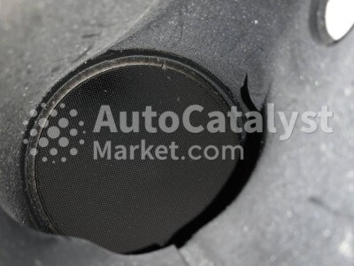 CK NECC NGK (Type 2) - Zdjęcie № 5 | AutoCatalyst Market