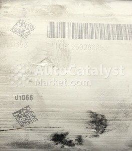 Precio de catalizador 111001250280353 (DPF monolith) usado (chatarra) — Foto № 1 | AutoCatalyst Market