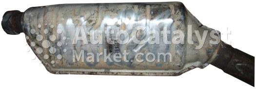 223647130 - Фото № 1 | AutoCatalyst Market