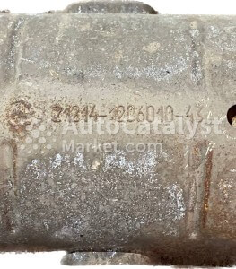 21214-1206010-43 - Photo № 10 | AutoCatalyst Market