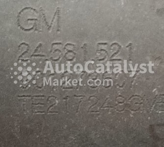 24581521 - 照片 № 1 | AutoCatalyst Market