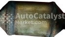 1320797X - Фото № 1 | AutoCatalyst Market