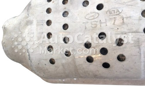 TSH71 - Foto № 1 | AutoCatalyst Market
