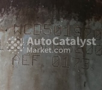 WCD501970 - Photo № 1 | AutoCatalyst Market