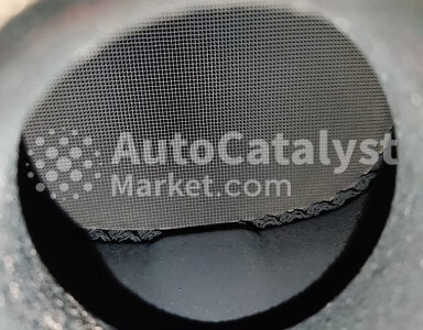 5Z - Фото № 4 | AutoCatalyst Market