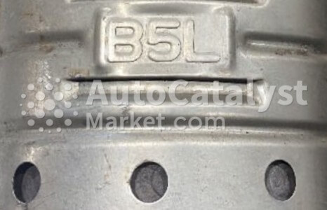 B5L - 照片 № 2 | AutoCatalyst Market