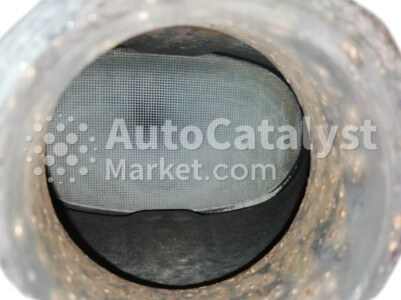 FP - Photo № 5 | AutoCatalyst Market