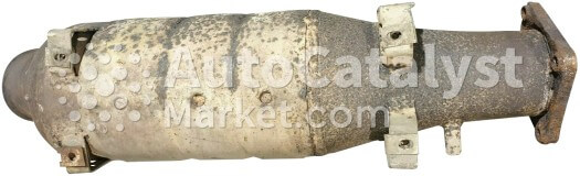 96411321308 - الصورة № 2 | AutoCatalyst Market