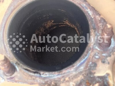 55580995 - Photo № 6 | AutoCatalyst Market