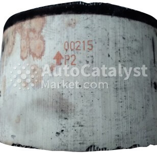 المحول الحفاز T05641N043 (CERAMIC monolith)  | 01803 00215 P2 - أسعار الخردة وبيع المستعملة — الصورة № 2 | AutoCatalyst Market