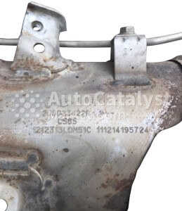 C 565 (DPF) - Foto № 6 | AutoCatalyst Market