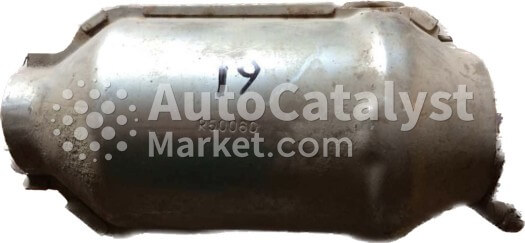 R50060 - Photo № 1 | AutoCatalyst Market