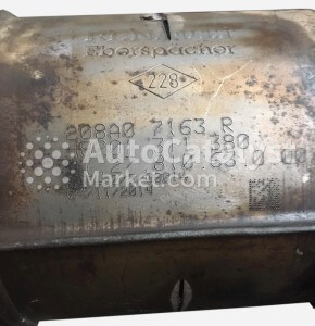 208A07163R / H8201311380 - Фото № 1 | AutoCatalyst Market