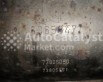 60658471 - Фото № 1 | AutoCatalyst Market