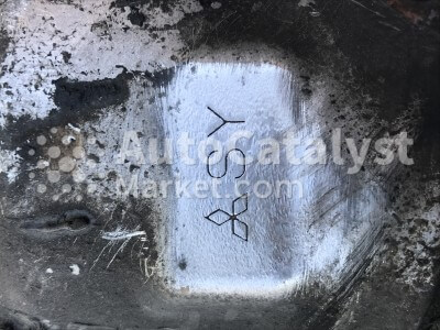 SY - Foto № 3 | AutoCatalyst Market