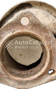 443131701N - الصورة № 4 | AutoCatalyst Market