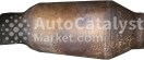 339AA - Photo № 1 | AutoCatalyst Market