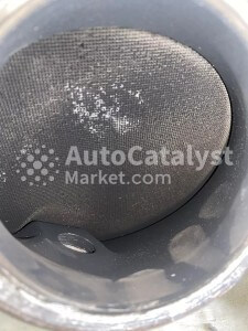 9-06029.45 - Photo № 3 | AutoCatalyst Market