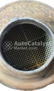 C 505 (DPF) - Фото № 5 | AutoCatalyst Market