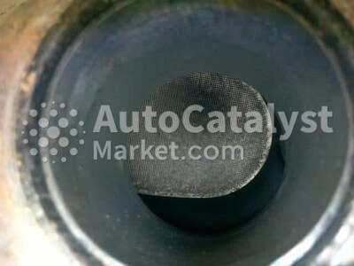 AAN - الصورة № 4 | AutoCatalyst Market