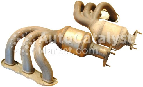 99111341102 - الصورة № 1 | AutoCatalyst Market