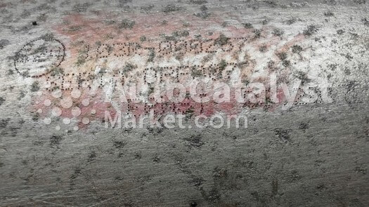 103R-000257 (DPF+METAL) - Фото № 1 | AutoCatalyst Market
