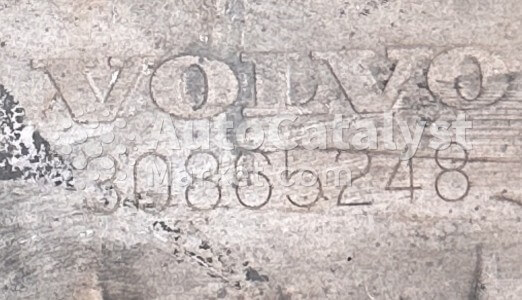 30865248 Catalytic Converter Scrap Price — Photo № 2 | AutoCatalyst Market