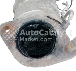 CFCM02 (CERAMIC+DPF) - Photo № 3 | AutoCatalyst Market