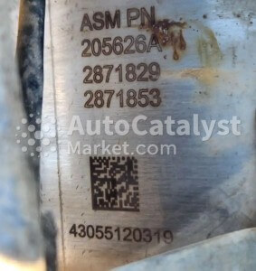 205626A (DPF) - Photo № 1 | AutoCatalyst Market