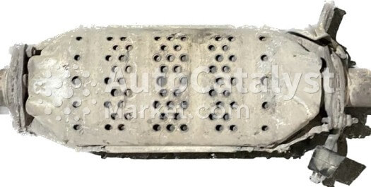 X2 (100%) (Nissan) - Photo № 4 | AutoCatalyst Market