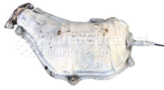 FCAC1 - Photo № 2 | AutoCatalyst Market