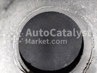 G06 - Photo № 3 | AutoCatalyst Market