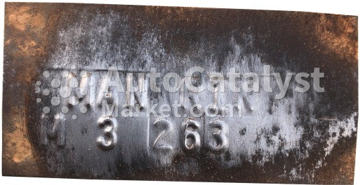 MAN-RIN - Photo № 2 | AutoCatalyst Market