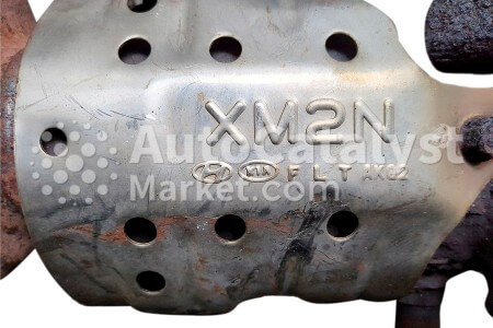 XM2N - Photo № 2 | AutoCatalyst Market