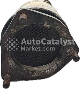 Precio de catalizador TF69Y0-1206010-98 usado (chatarra) — Foto № 8 | AutoCatalyst Market