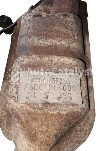 F6DC ML GOO - Photo № 1 | AutoCatalyst Market