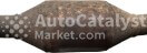 T49 - Photo № 1 | AutoCatalyst Market