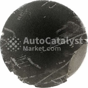 Precio de catalizador 3HE (series) (bottom) usado (chatarra) — Foto № 4 | AutoCatalyst Market