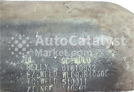 WLD0JB4030E - Photo № 1 | AutoCatalyst Market